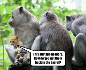 nice funny animal quotes