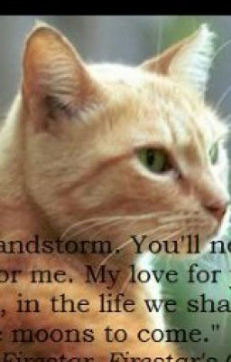 Warrior Cats Bluestar And Firestar Warrior cat quotes -fanfic-