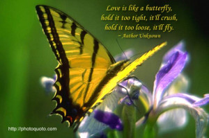 Love is like a butterfly, hold it too tight, it'll crush, hold it too ...