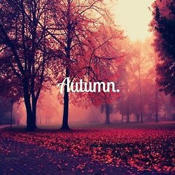 Added: Nov. 15, 2013 | Image size: 250 x 250 px | More from ...