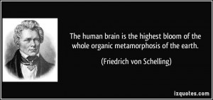 The human brain is the highest bloom of the whole organic ...