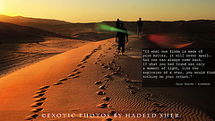 Welcome to Flickr Hive Mind. If you log into Flickr you will see your ...