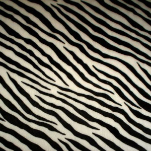 zebra stripes Image