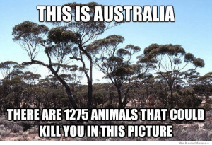 This is Australia – there are 1275 animals that could kill you in ...