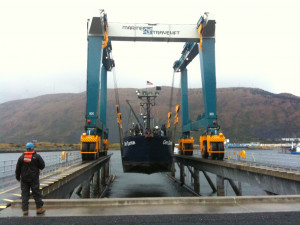 Funny Quotes Contact Us DMCA Notice