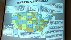 Just some of the varying descriptions of what a pit bull dog is, many ...