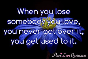 When you lose somebody you love, you never get over it, you get used ...