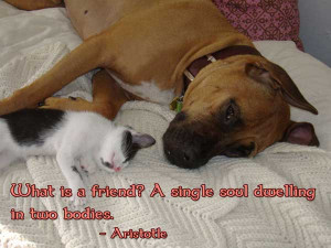 Cute Sayings About Best Friends For Facebook Cute sayings about best