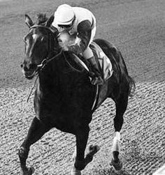 July 6 - Ruffian, an American champion thoroughbred racehorse breaks ...