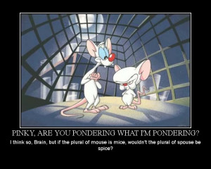 you pondering what I’m pondering?:Try to take over the world -Pinky ...