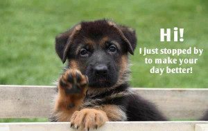 Good Pix For Funny German Shepherd Quotes