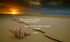 Rumi Quotes On Love Pictures Images Photos 2013