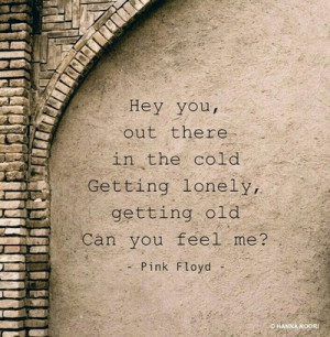 pink floyd, quote, quotes