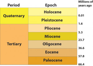 The Geologic Time Scale Divides Earth S Geological History Into Eons