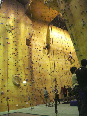 Sydney Indoor Rock Climbing