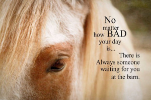 Horse Photography Equestrian Barn Inspirational Quote Chestnut Cream ...
