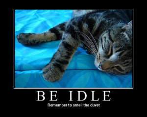 Importance Of Sleep Quotes The importance of sleep