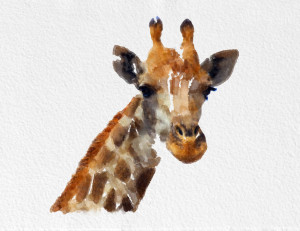 ... Funny Giraffe Sayings , Cute Giraffe Sayings , Giraffe Quotes