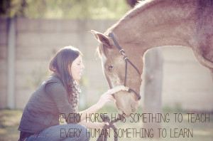 Some of horses quotes