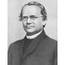 Gregor Mendel Quotes