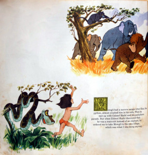 Walt Disney The Jungle Book