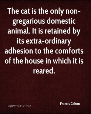 The cat is the only non-gregarious domestic animal. It is retained by ...