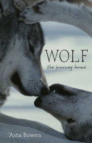 Wolf: The Journey Home