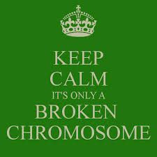 keep calm quotes- Chromosome Disorders