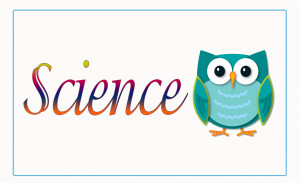 Science is organized knowledge. Wisdom is organized life ...