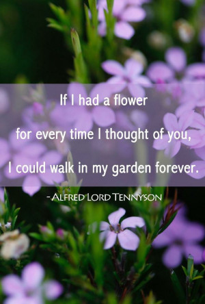 Photo Gallery of the Bereavement Quotes from Great People