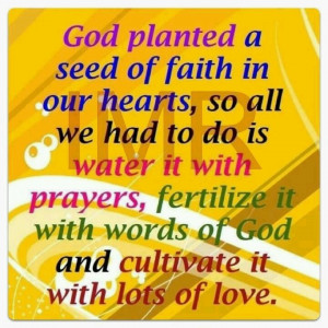 Seed of faith