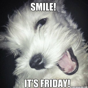 Friday - Dog Edition! Check out all of the Dog meme's about Friday ...
