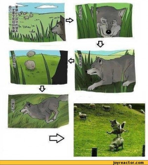 ... funny deer hunting quotes view fullsize more buck wear hunting