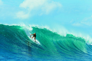 Roxy Surf