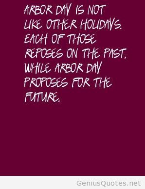 Best proposal quotes around the world, free for download, for you!