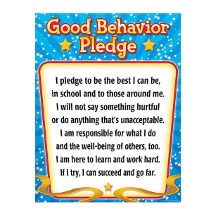 Good Behavior Pledge Poster
