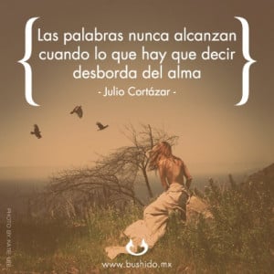 Julio Cortazar, Frases, Palabras