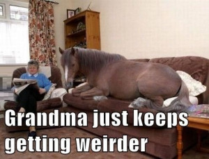 ... funny animals funny pics funny pictures grandma humor lol grandma