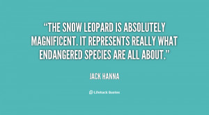 The snow leopard is absolutely magnificent. It represents really ...