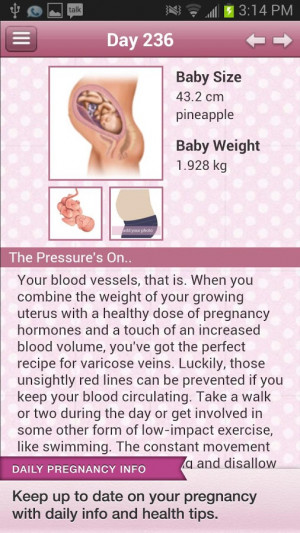 BabyBump Pregnancy Free - screenshot