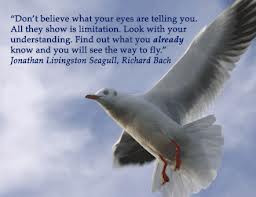 seagull quote