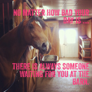 Horse Quotes about Friendship