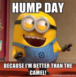 hump day because i'm better than the camel! - dave le minion ...