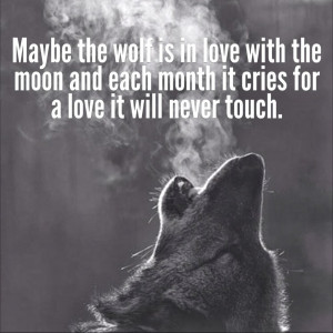 Displaying 14> Images For - Spirit Wolf Sayings...