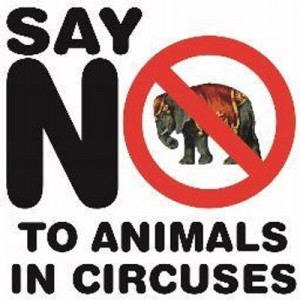 Ban Animal Circus SA