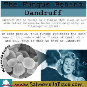 Fungus Behind Dandruff