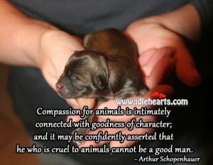 Cruel To Animals Cannot Be A Good Man., Animals, Character, Compassion ...