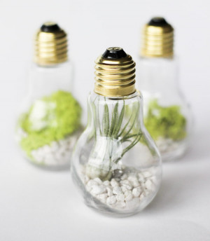 Light Bulb Jar Gifts — Lightbulb Terrariums