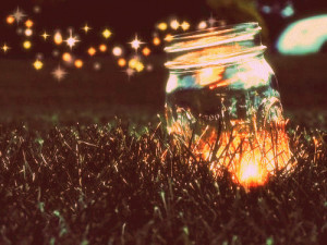 Catching Fireflies