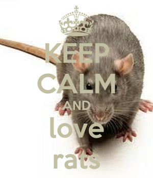 keep-calm-and-love-rats-19